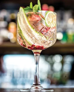 Pasabahce 440237 Timeless Gin Tonic Cocktailglas, 550ml, Glas, Transparent, 12 Stück -Perfekter Küchenladen 289217e309ae351251910bf9b2bb7ebc