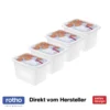 ROTHO Set Gefrierdose 4 X 1 L DOMINO, Farbe:Limettengrün -Perfekter Küchenladen 2ecd99ec5d3abcdcdea91e6c1031093d