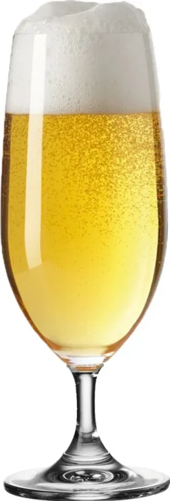 Leonardo Daily 6 Er Krt. Biertulpen -Perfekter Küchenladen 393af5dd7bc5a9e7a17d48f344381608