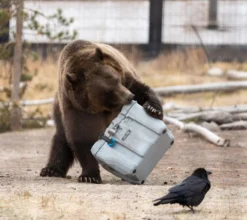 Lifetime Kühlbox 26,5 Liter Volumen -Perfekter Küchenladen 68fca415da8308f13e0b69044a19e710