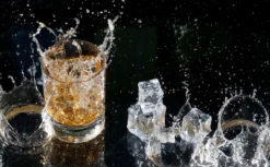 Echos Whiskyset | Whiskygläser | 6-Teiliges Whiskeyset -Perfekter Küchenladen bcd61b1cf63360b9a3ea9ece462af819